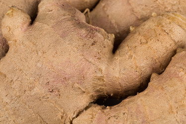 Similar image 12597111