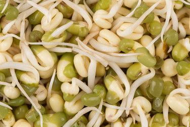 Similar image 12597160