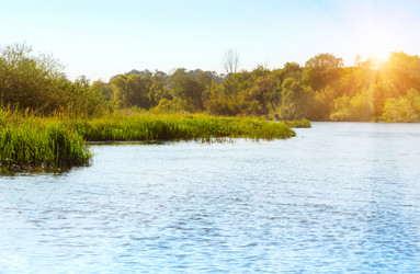 Similar image 12588686