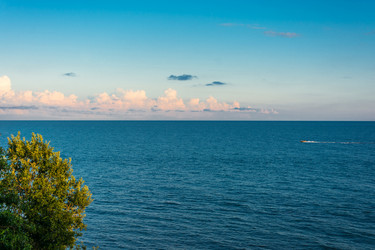 Similar image 12516411