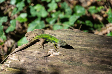 Similar image 12516447