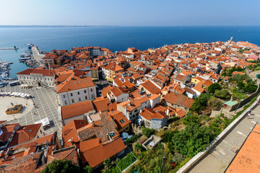 Similar image 12593039