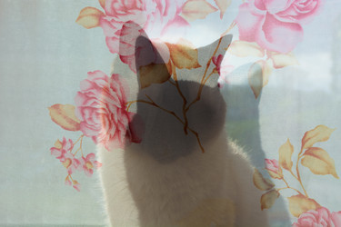 Similar image 12584763