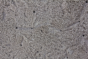 Similar image 12592968