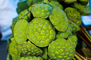 Similar image 12592987