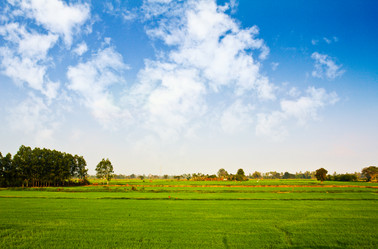 Similar image 12592953