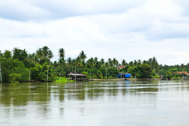 Similar image 12579854