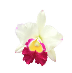 Similar image 12548726