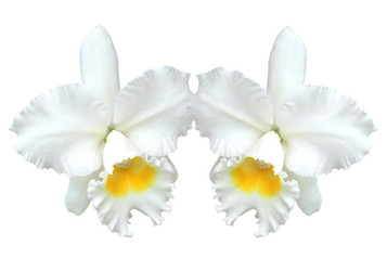 Similar image 12548730