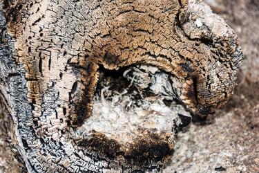 Similar image 12582757