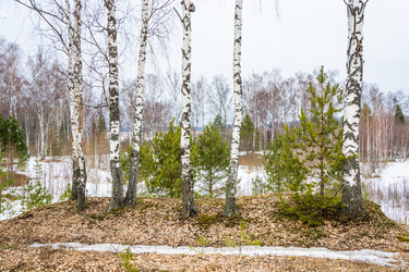 Similar image 12582763