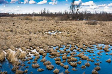 Similar image 12582774