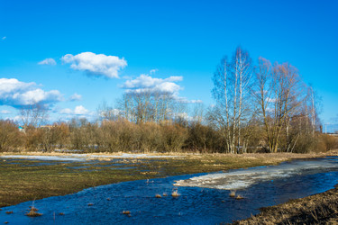 Similar image 12582795