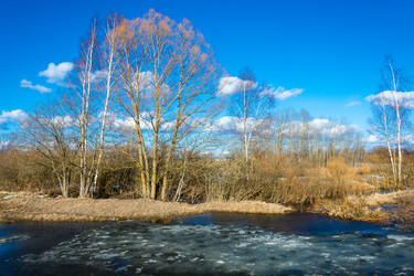 Similar image 12582817