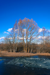 Similar image 12582818