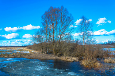 Similar image 12582820