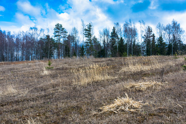 Similar image 12582775