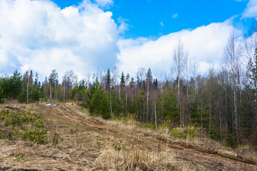 Similar image 12582796