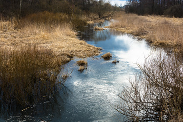 Similar image 12582823