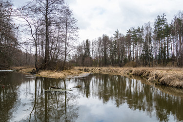 Similar image 12582825