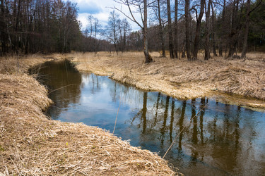 Similar image 12582828