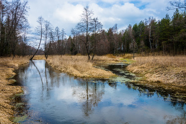 Similar image 12582829