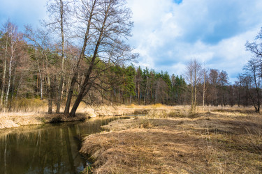 Similar image 12582830