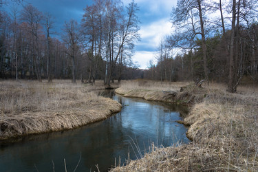 Similar image 12582831