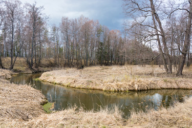 Similar image 12582832