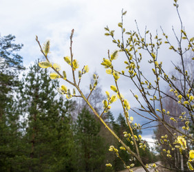 Similar image 12582857