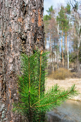 Similar image 12582858