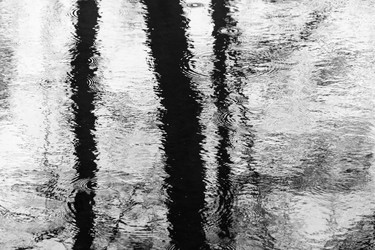 Similar image 12582859