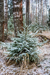 Similar image 12582879