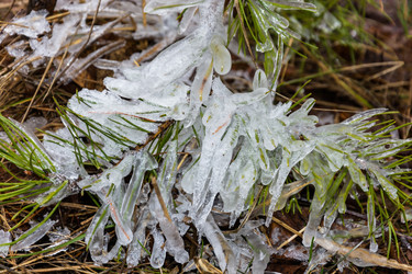 Similar image 12582883