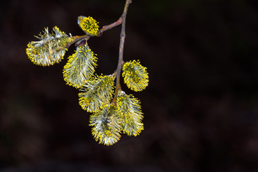 Similar image 12582884