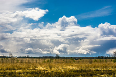 Similar image 12582833