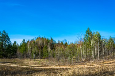 Similar image 12582840