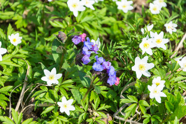 Similar image 12582846