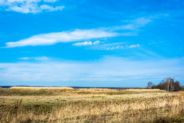 Similar image 12582849