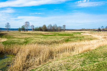 Similar image 12582850