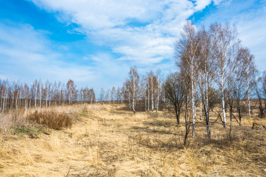 Similar image 12582862