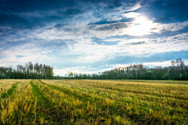 Similar image 12582864