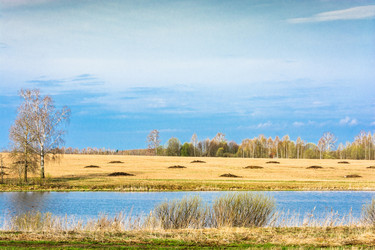 Similar image 12582865