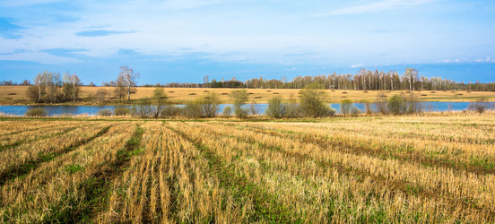 Similar image 12582866