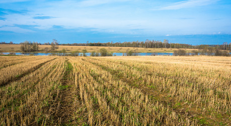 Similar image 12582867