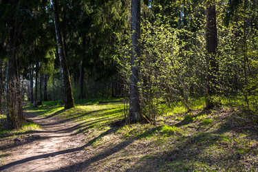 Similar image 12582868