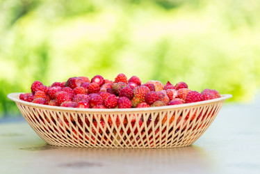 Similar image 12568695