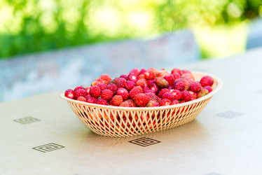 Similar image 12568711