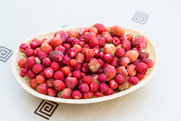 Similar image 12568729