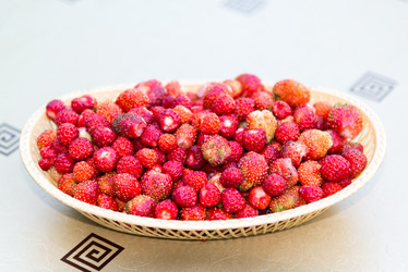 Similar image 12568738